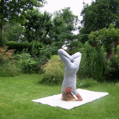 Sabine
                        Weidner, Yoga in Lübeck